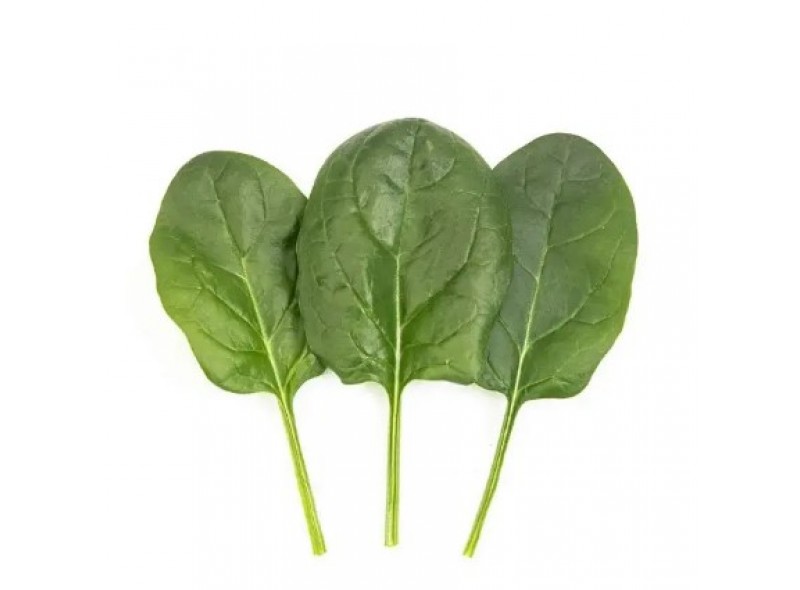 Эврино F1 - семена шпината, 500г., Libra Seeds